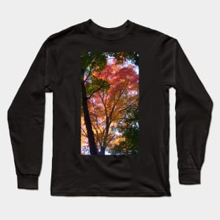 Indian Summer Long Sleeve T-Shirt